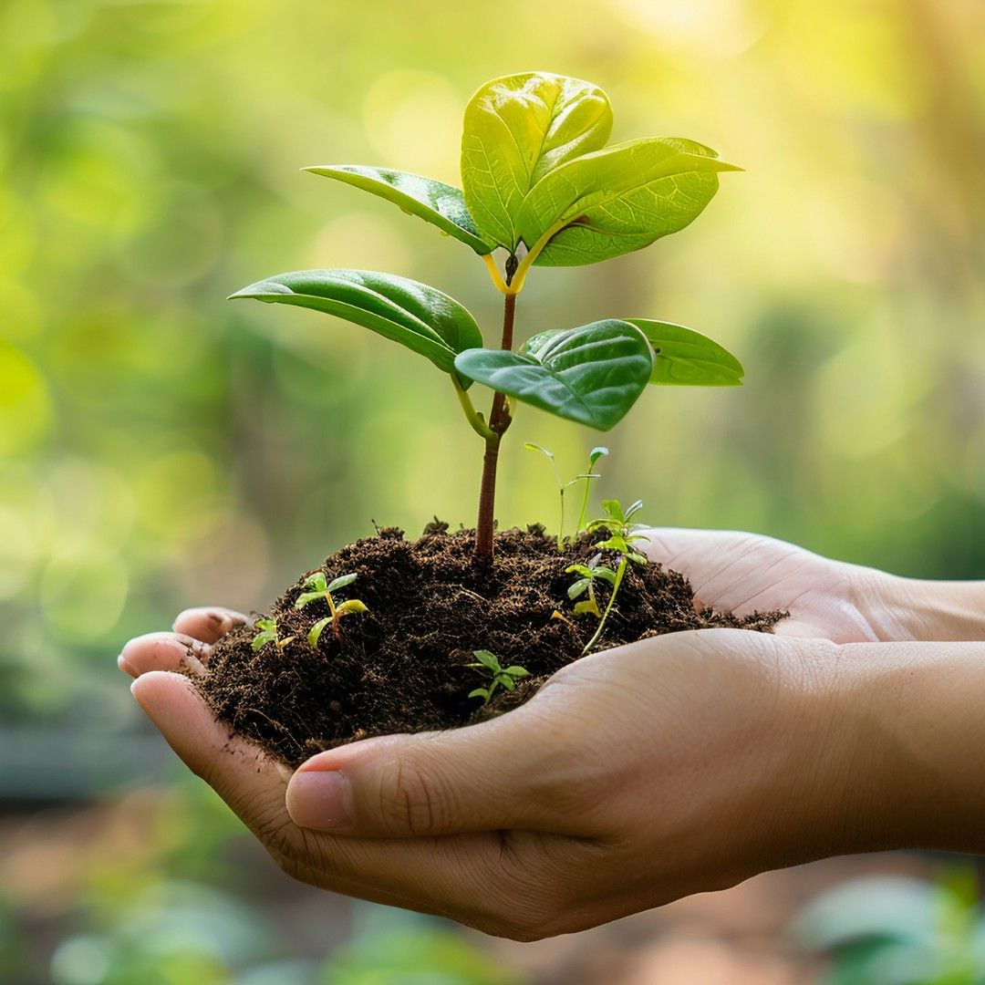 Environment Stewardship