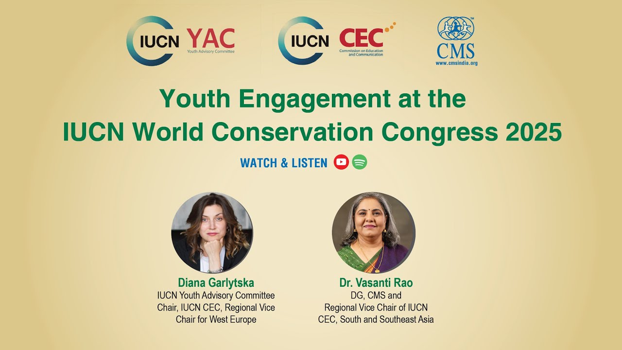 Youth Engagement at the IUCN World Conservation Congress 2025